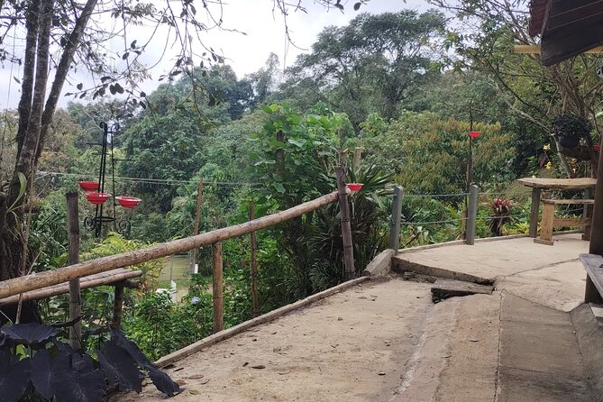 Easy Birdwatching in Cali Colombia (4 Hours) - The private format makes the morning easier
