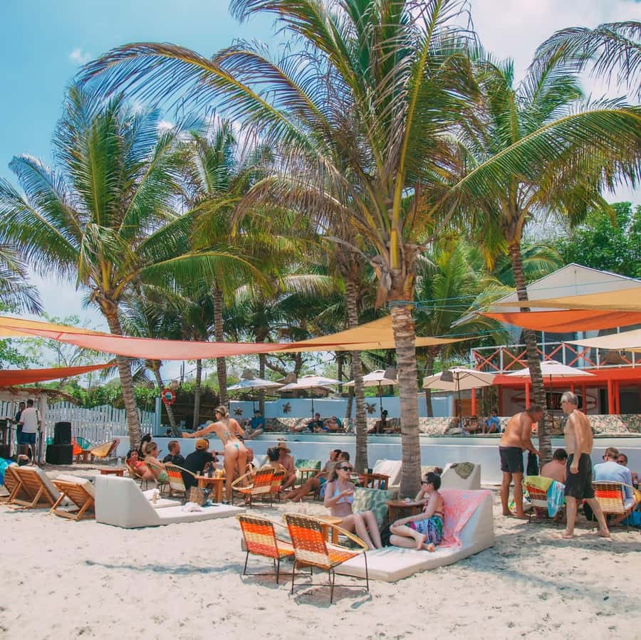 Eco-Luxury Beach Escape at Pink Mango, Tierra Bomba - Lunch with Caribbean and Mediterranean Flavors