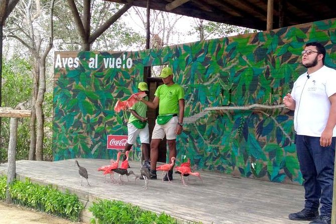 Eco Plan National Aviary and Lunch in Playa Mambo Beach Barú - The morning ride from Cartagena to the National Aviary