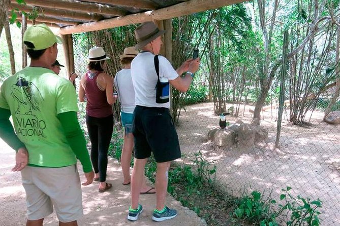 Eco Plan National Aviary and Lunch in Playa Mambo Beach Barú - Booking, cancellation, and timing advice