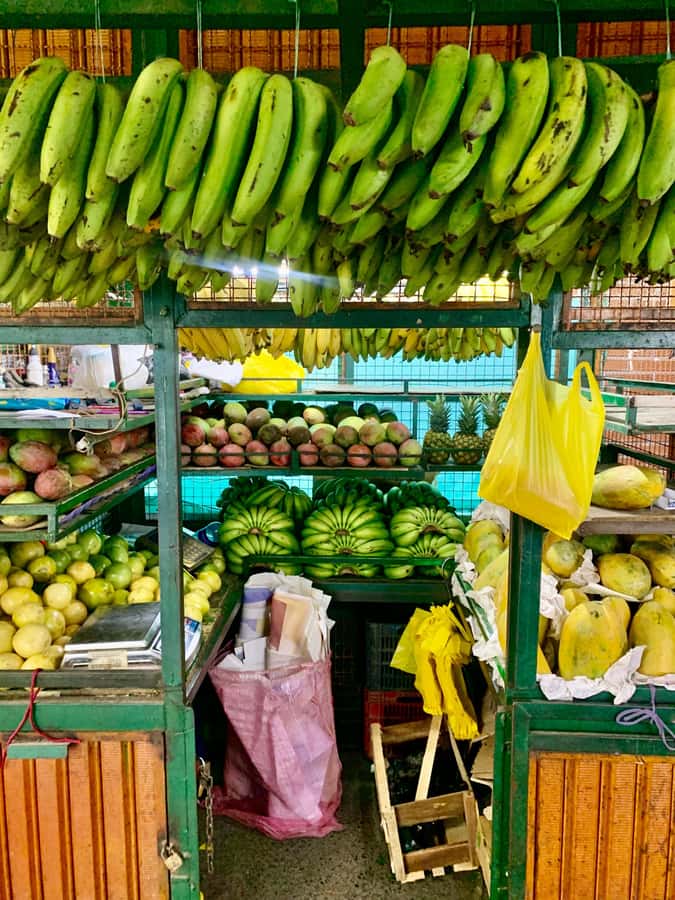 Essential Fruit Experience - Key points to know before you go