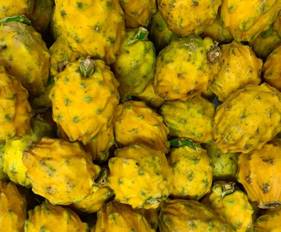 Essential Fruit Experience - The first 10 minutes: getting oriented inside the plaza