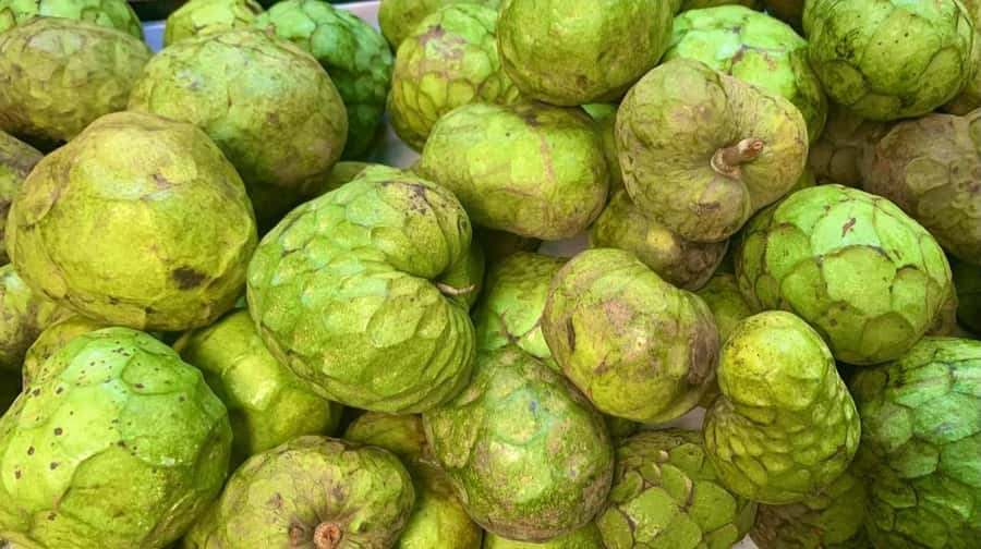Essential Fruit Experience - A tasting that is short by design