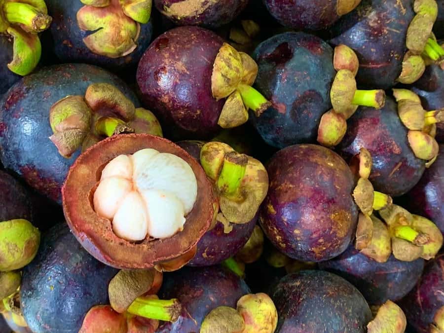 Essential Fruit Experience - The 15-minute sightseeing finish