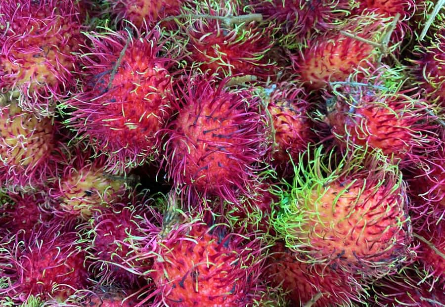 Essential Fruit Experience - The e-book adds value after the tasting