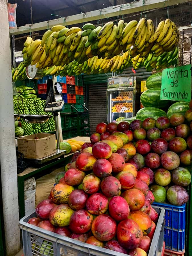 Essential Fruit Experience - Meeting at Metroplús or the main entrance
