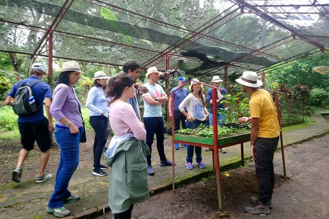 Exclusive Coffee Experience:Tour from Bogotá - From Seedling to Coffee Cup