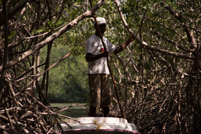 Explore La Boquilla’s Mangrove Tunnels with Local Fishermen - Key things to know before you go