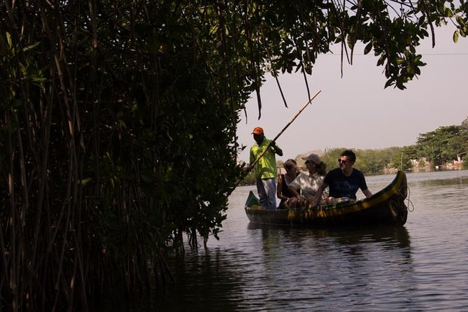 Explore La Boquilla’s Mangrove Tunnels with Local Fishermen - Ciénaga de la Virgen: the first mangrove channels