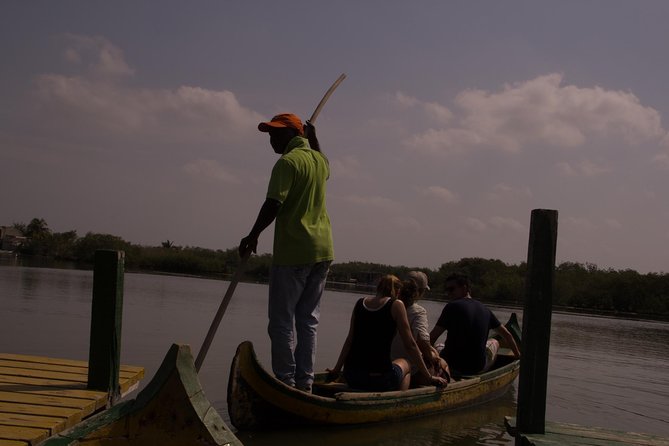 Explore La Boquilla’s Mangrove Tunnels with Local Fishermen - What the conservation story adds