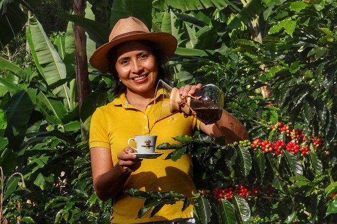 Explore the Coffee Process_From Tree to Cup & Fun by Jeep - Key points to know before you book
