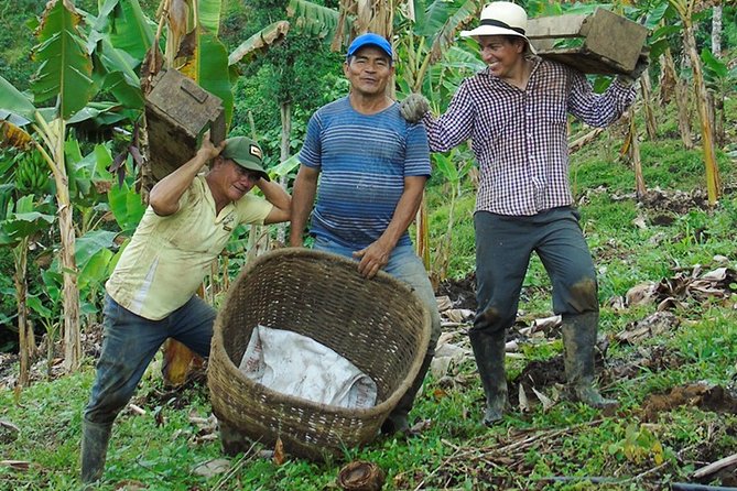 Explore the Coffee Process_From Tree to Cup & Fun by Jeep - Leaving Pereira by traditional Jeep