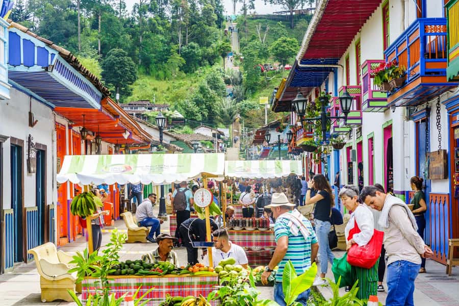 Filandia, Salento and Cocora Valley Private Tour - Practical advice for making the day better