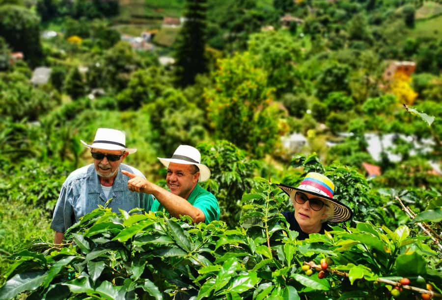 From Bogota: 5 hour guided coffe farm tour - All included - From Bogotá into Cundinamarca’s coffee country