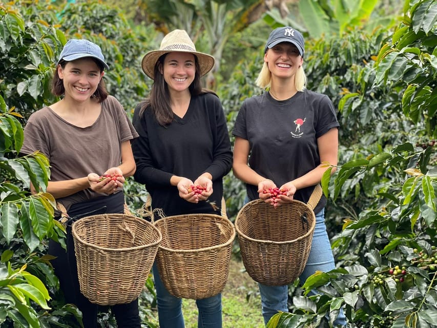 From Bogota: 5 hour guided coffe farm tour - All included - Picking coffee by hand