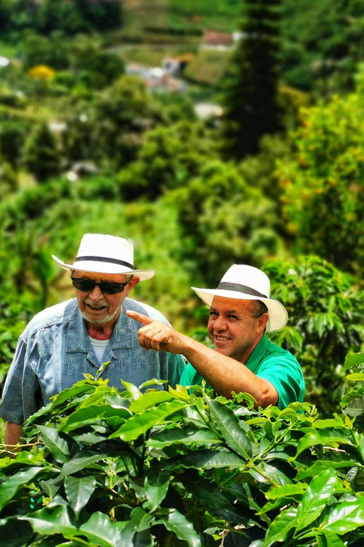 From Bogota: 5 hour guided coffe farm tour - All included - Preparing and tasting a fresh cup