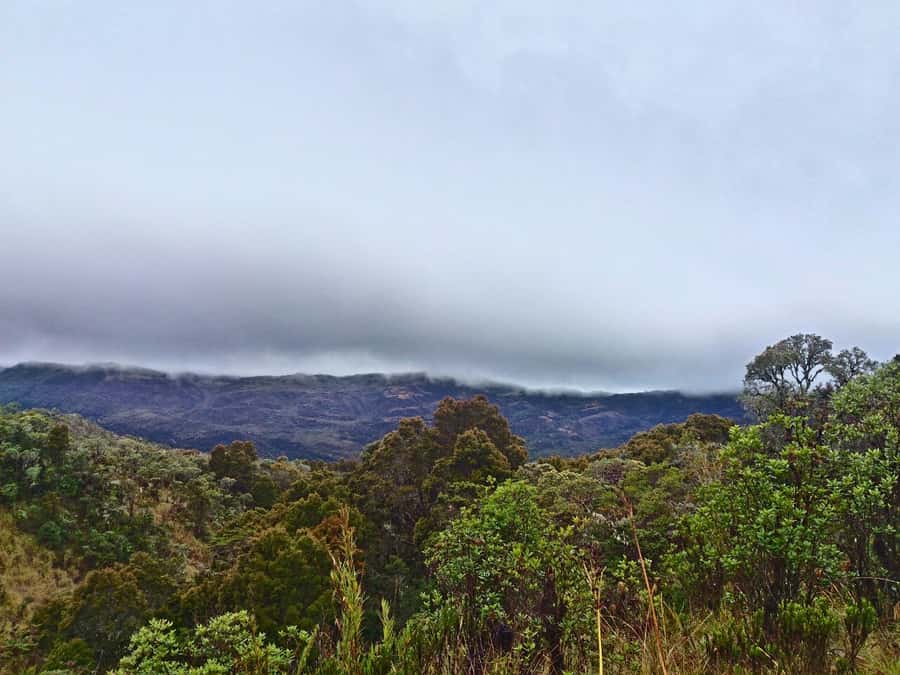 From Bogotá: Chingaza National Park Eco Tour - Key points at a glance
