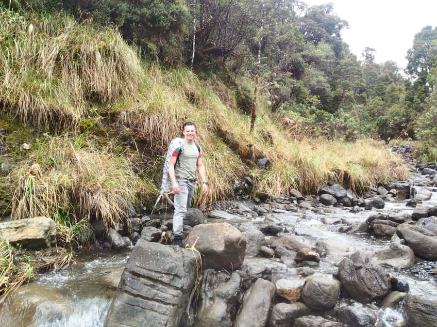 From Bogotá: Chingaza National Park Eco Tour - Why Chingaza feels so different from Bogotá
