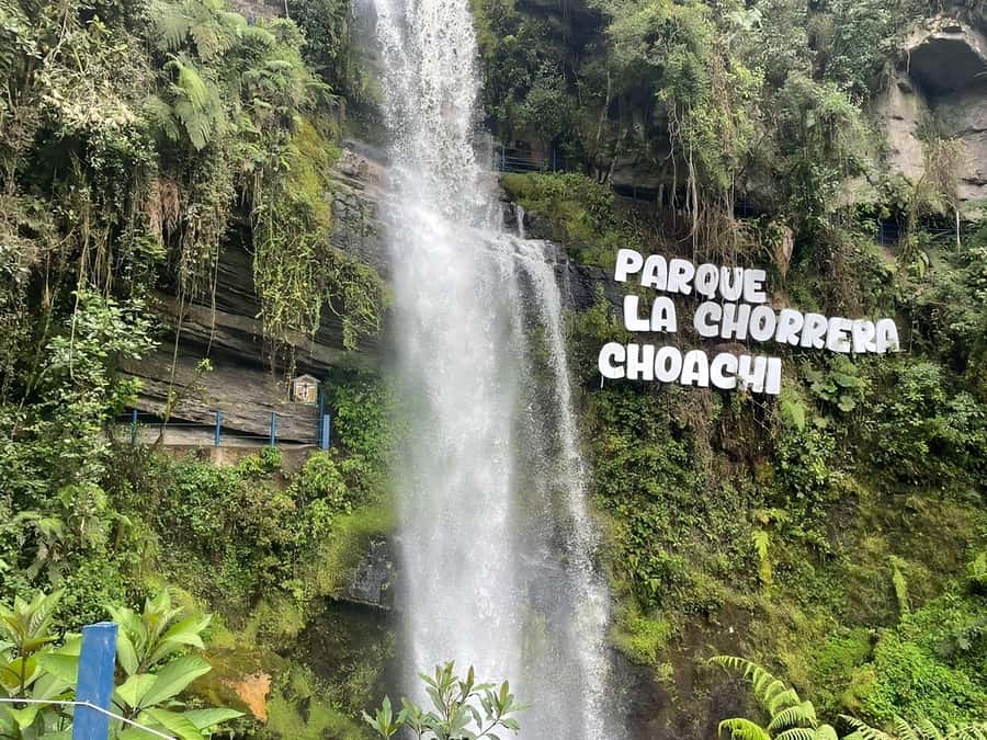 From Bogotá: Chingaza National Park Eco Tour - Wildlife, silence, and the value of a local guide