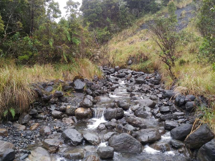 From Bogotá: Chingaza National Park Eco Tour - Who should book this Chingaza day trip?