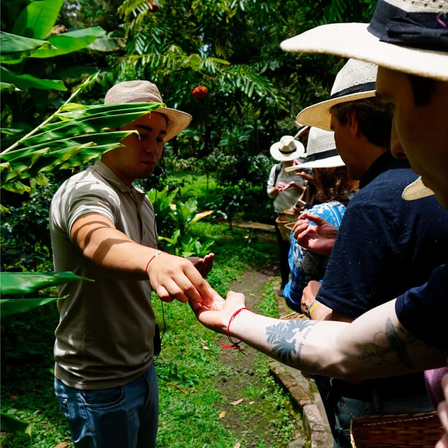From Bogotá: Coffee Farm and Tequendama Falls Tour - Tequendama Falls: impressive, but keep expectations modest