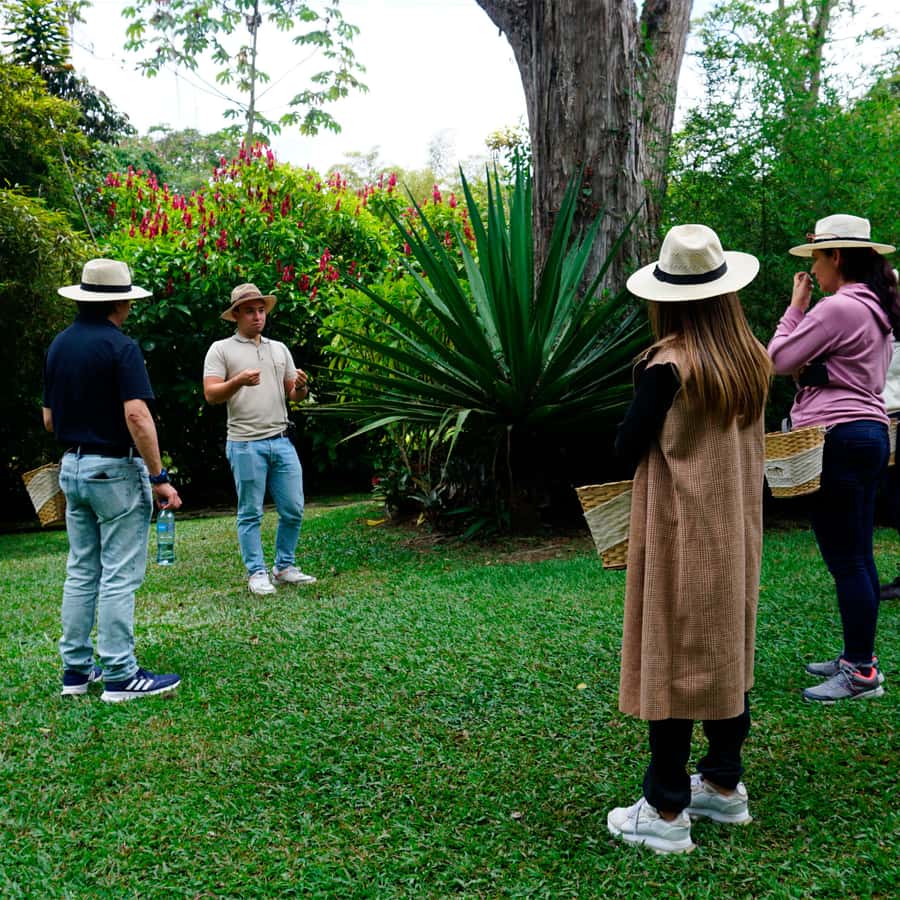 From Bogotá: Coffee Farm and Tequendama Falls Tour - The guides can make or break the road time
