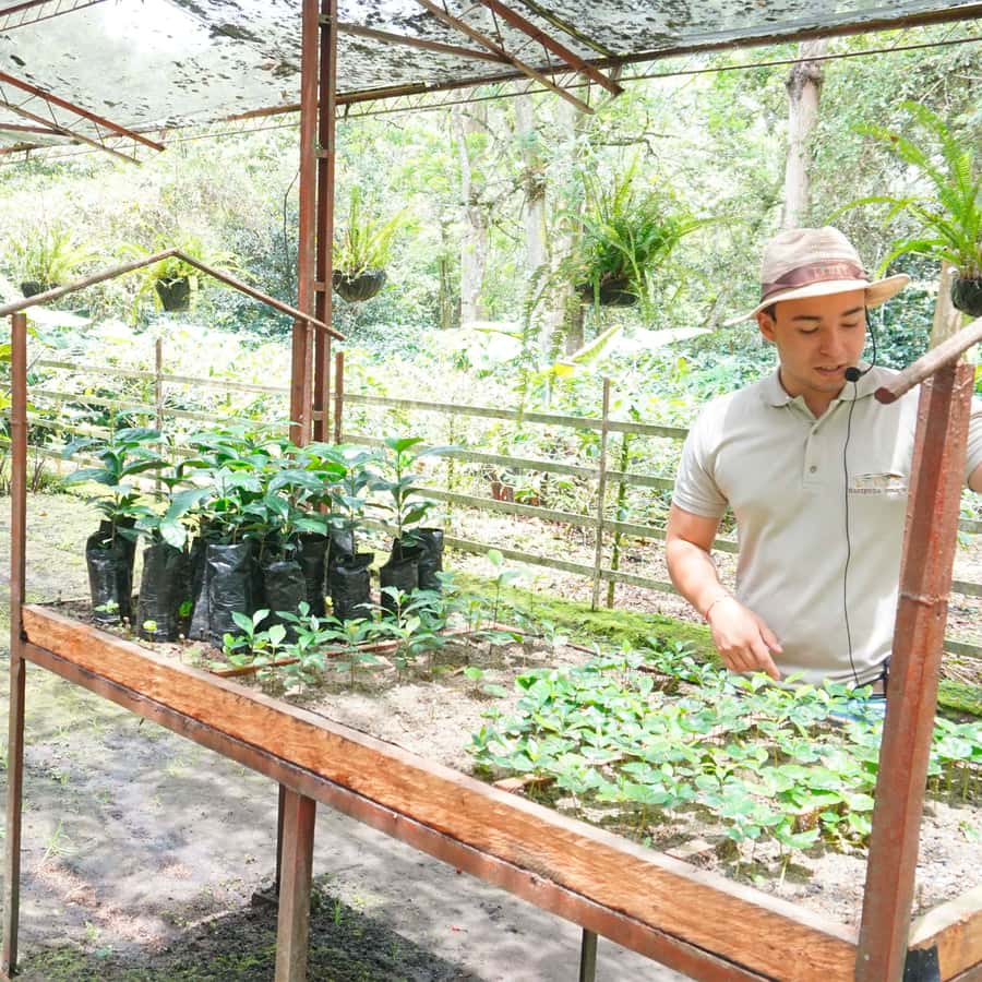 From Bogotá: Coffee Farm and Tequendama Falls Tour - Pickup and the long road south