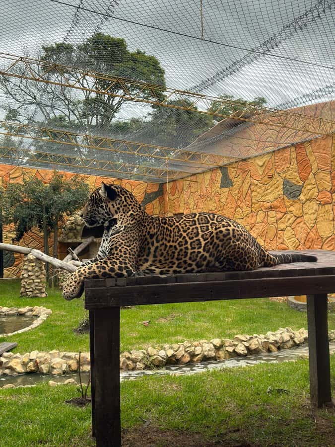 From Bogota: Jaime Duque Park and zoo with ticket included - The Taj Mahal replica sets the tone