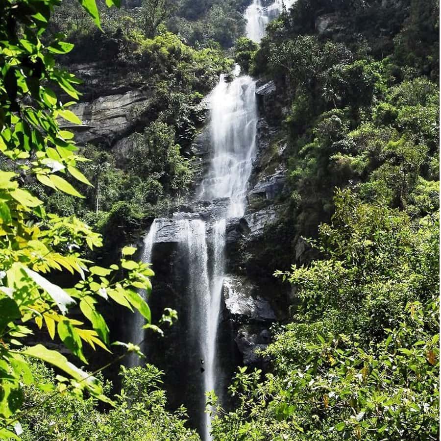From Bogota: La Chorrera Waterfall Guided Hike - Key points at a glance