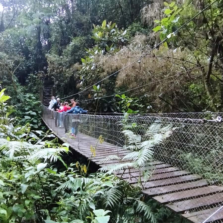 From Bogota: La Chorrera Waterfall Guided Hike - What the guides add to the day