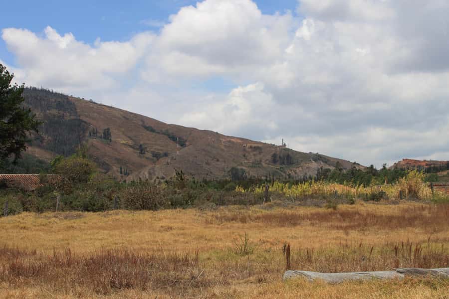 From Bogotá: Private Tour to Villa de Leyva - Key points to know before booking