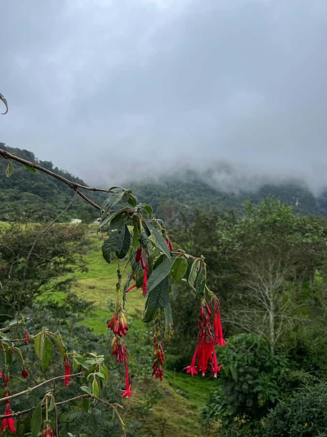 FROM BOGOTA: Tour to La Chorrera, Colombia's highest waterfall. - Key points to know before you book
