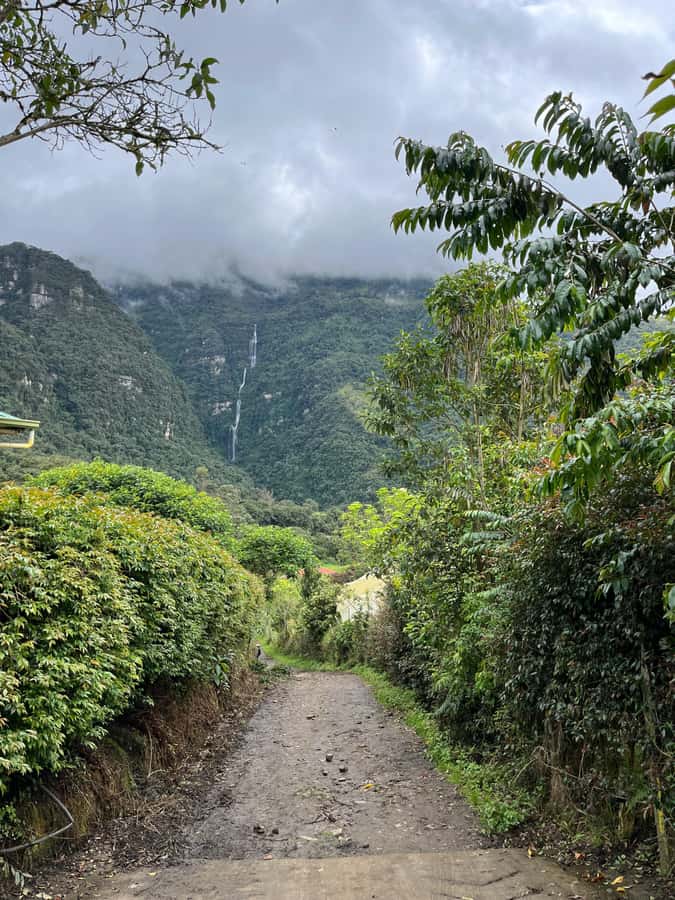 FROM BOGOTA: Tour to La Chorrera, Colombia's highest waterfall. - Why La Chorrera makes a strong Bogotá day trip