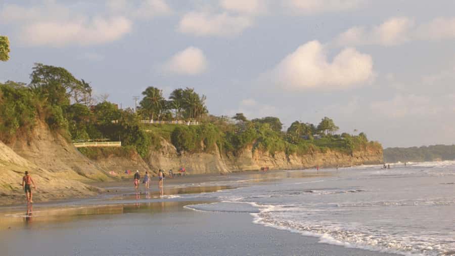 From Cali: Whale Watching Day Trip in Buenaventura - Buenaventura and the move to the water