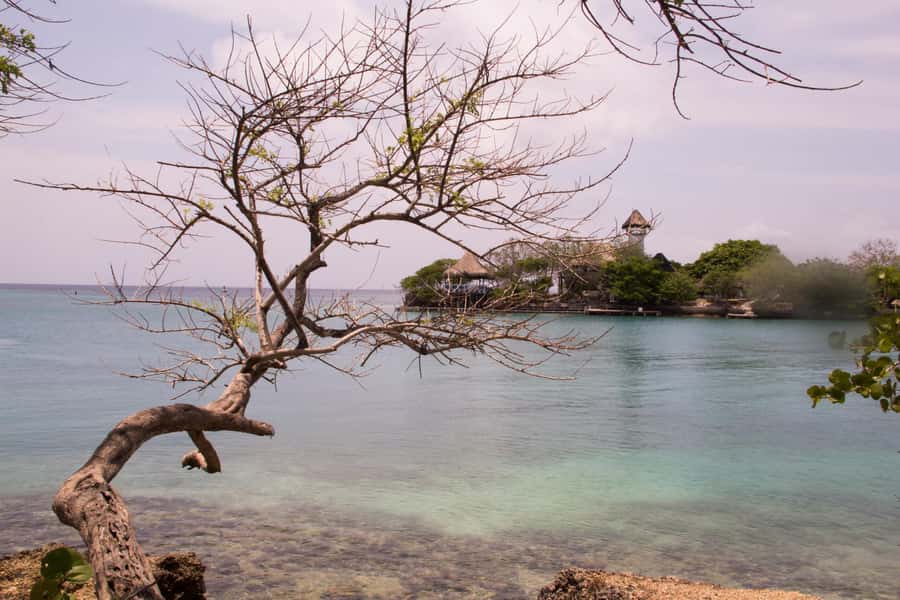 From Cartagena: Rosario Islands Day Trip - The aquarium and its open-water displays