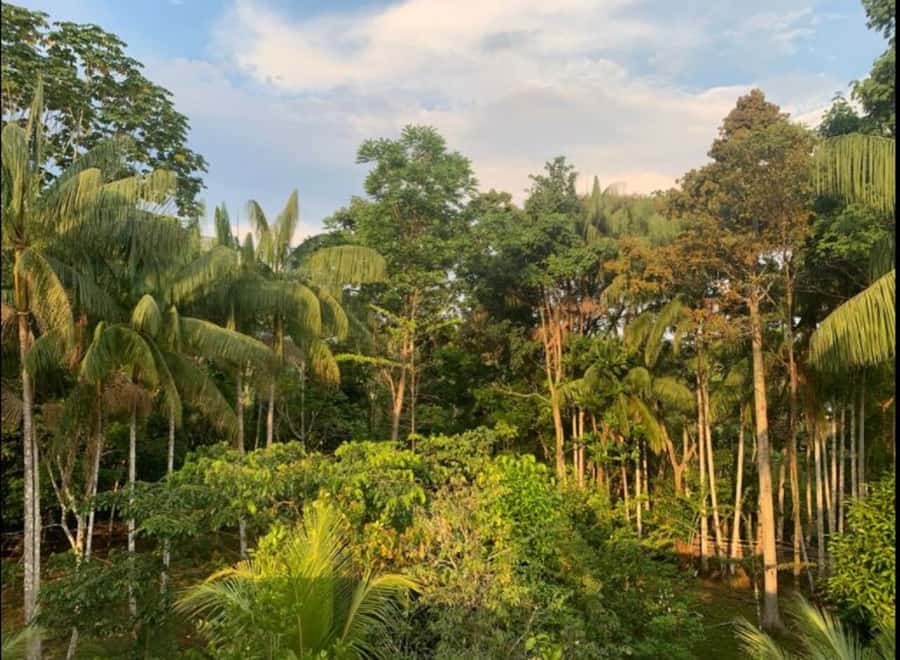 From Leticia: Wild Amazonas Adventure 4-Day Tour - What the $789 price really covers