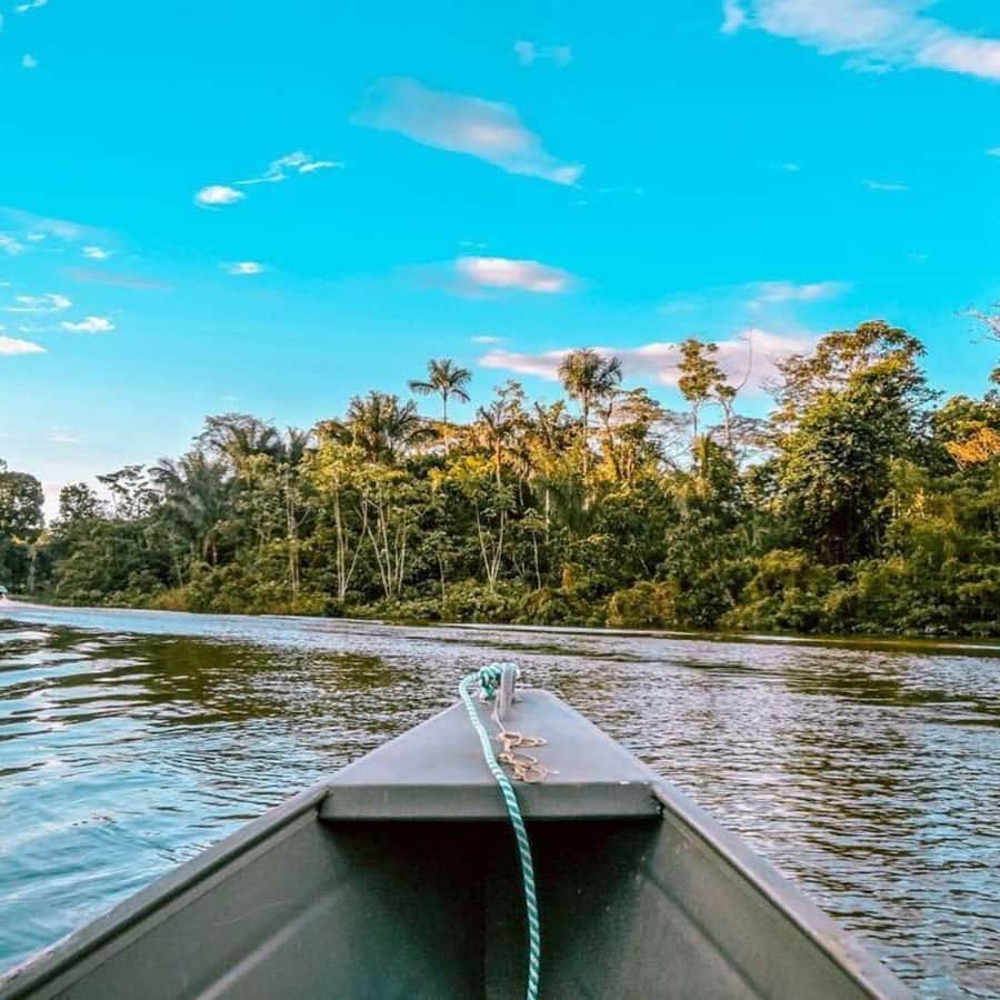 From Leticia: Wild Amazonas Adventure 4-Day Tour - Comfort, weather, and packing advice