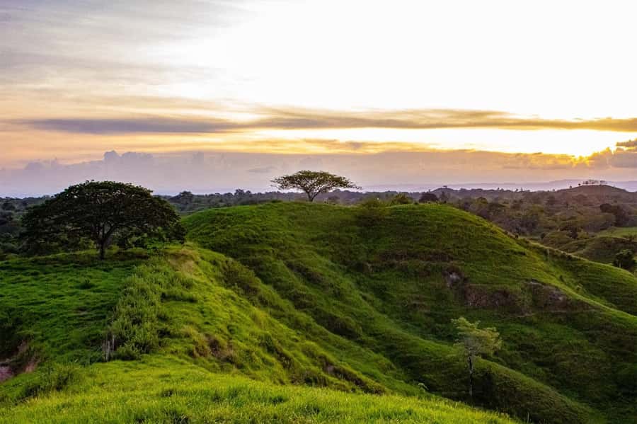 From Medellin; (All-In) The Real Horseback Ranch Experience - Key things to know before you book