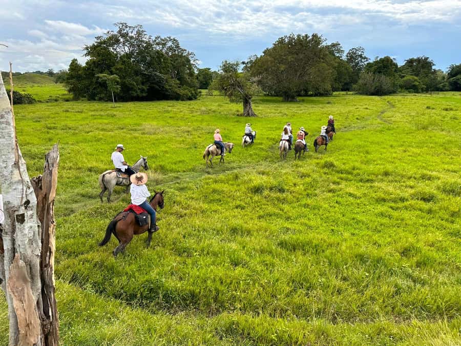 From Medellin; (All-In) The Real Horseback Ranch Experience - Breakfast at Restaurante El Hato