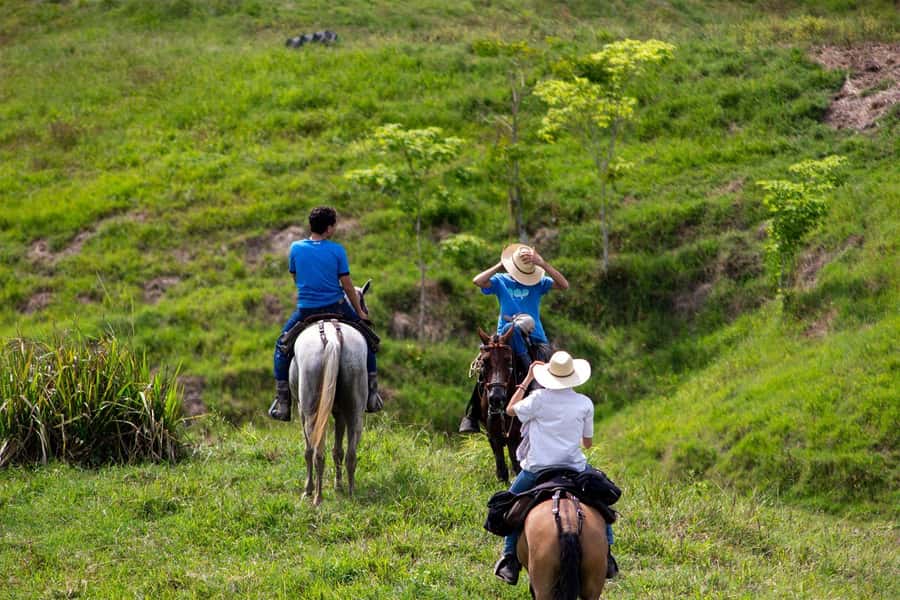 From Medellin; (All-In) The Real Horseback Ranch Experience - Fiambre lunch in the middle of the fields
