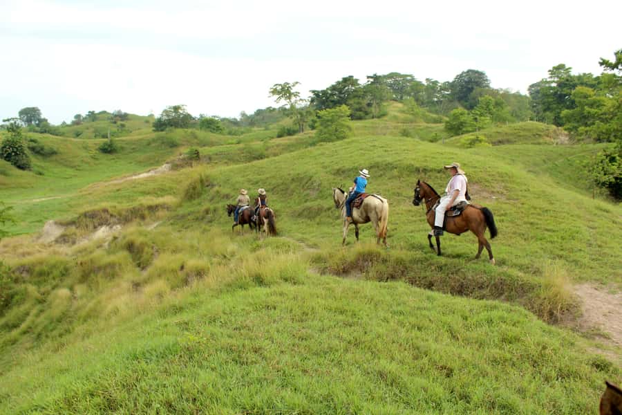 From Medellin; (All-In) The Real Horseback Ranch Experience - A slower hour with hammocks and possible swimming