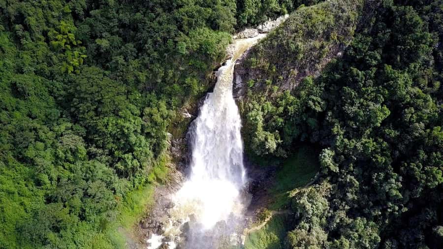 From Medellín: Dream Hammocks, Zipline, & Waterfall Day Trip - Is $205 a fair price?