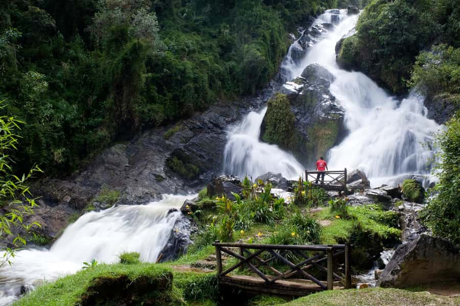 From Medellín: El Retiro Private Tour with Food Tastings - Understanding the Paisa food portion