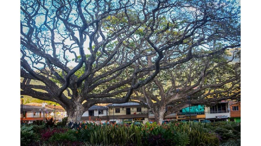 From Medellín: Jardín, Andes, and Hispania Day Trip - Key details before you book