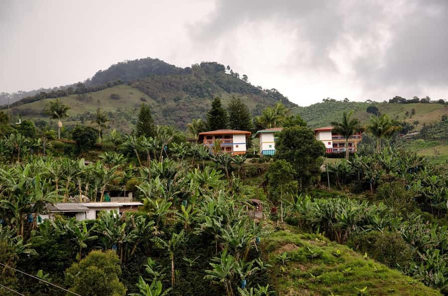 From Medellín: Jardín Private 2-Day Tour with Activities - Coffee At A Working Finca