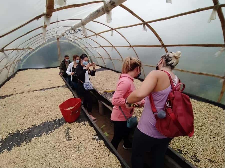 From Medellin: Private Envigado Coffee Tour with Tastings - Key Points to Know Before You Go