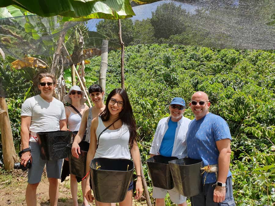 From Medellin: Private Envigado Coffee Tour with Tastings - Leaving Medellin for the Hills of Envigado