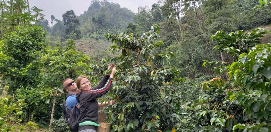 From Medellin: Private Envigado Coffee Tour with Tastings - Seeing Coffee Grow Near the City