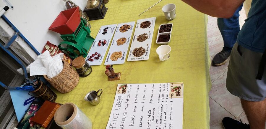 From Medellin: Private Envigado Coffee Tour with Tastings - What Makes the Private Format Worthwhile