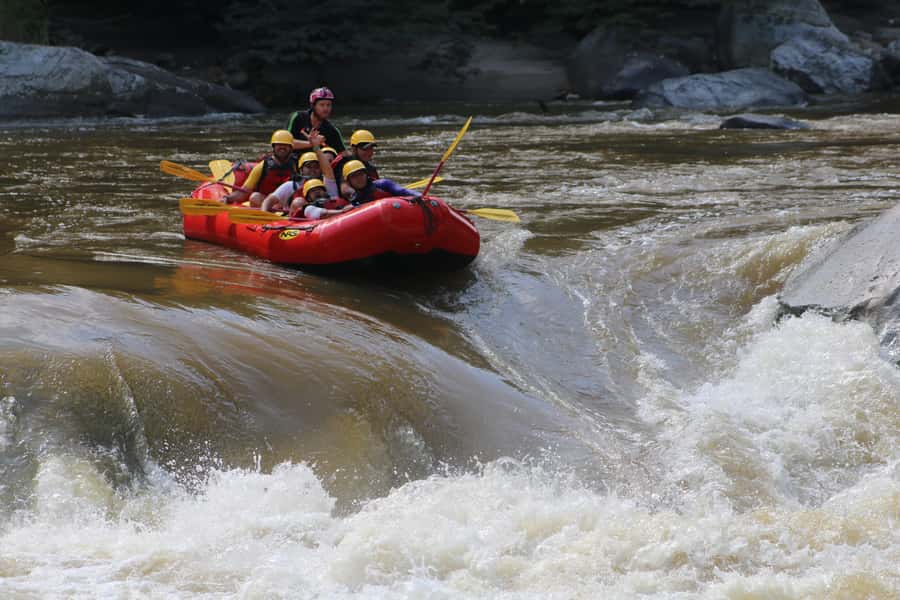 From Medellin: Rafting Experience - Paddling beneath Calderas Bridge